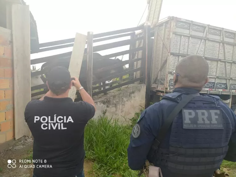 Fazenda em Rondônia é Alvo de Furto de Mais de 200 Cabeças de Gado