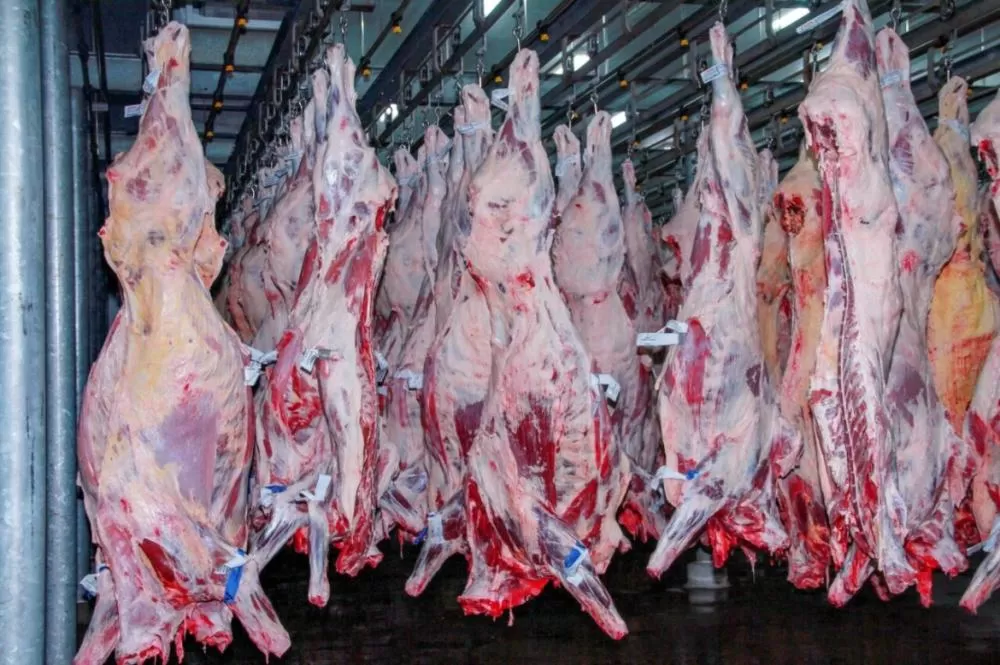Rondônia registra Aumento de 20% nas Exportações de Carne Bovina em 2024