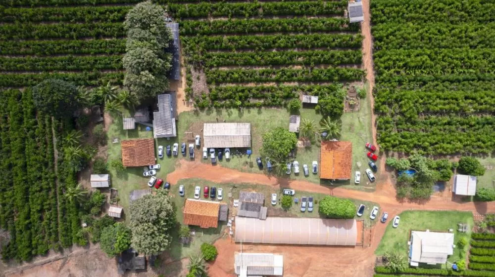 Crescimento da Cafeicultura em Rondônia Impulsiona o Turismo na Rota Turística do Café