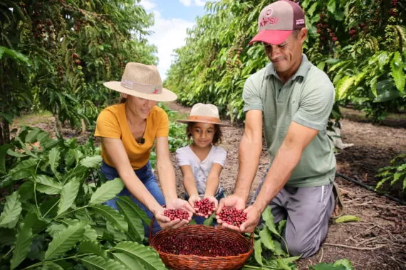 Rondônia Alcança Recorde Histórico de Exportação de Café com Mais de 35 Mil Toneladas em 2024