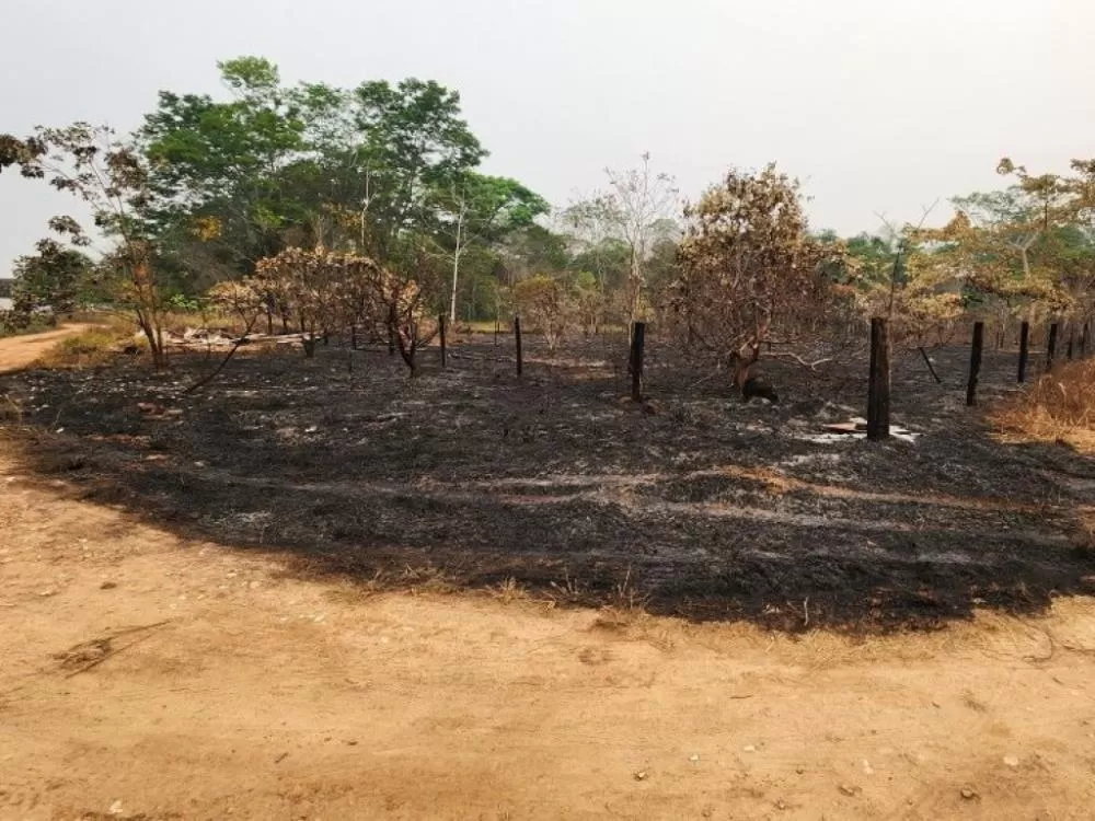Adolescentes Iniciam Incêndio em Área de Preservação em Cacoal e Colocam Casas em Perigo