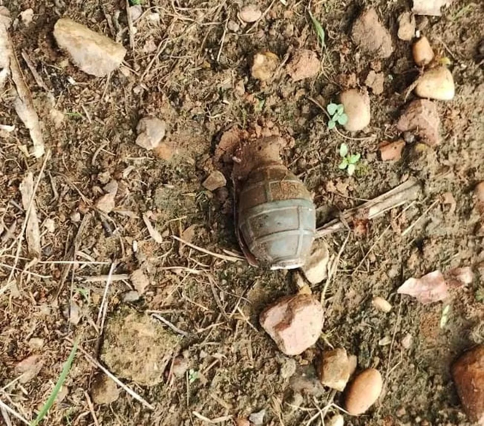 Cão Descobre Granada em Chácara de Presidente Médici, RO; Artefato é Detonado sem Feridos