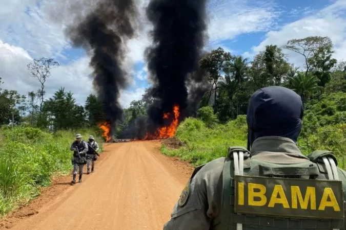 Polícia Federal realiza operação contra transporte ilegal de madeira em Rondônia