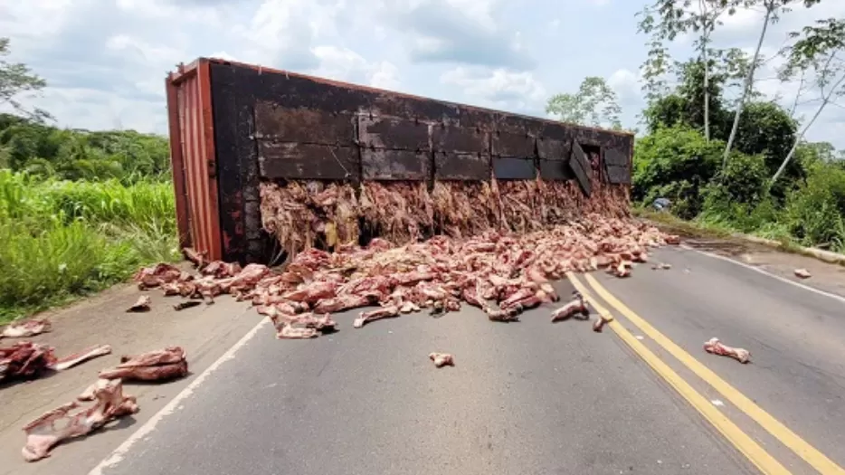Vídeo: Colisão entre carreta e caçamba espalha ossos na BR-364 entre Cacoal e Presidente Médici 