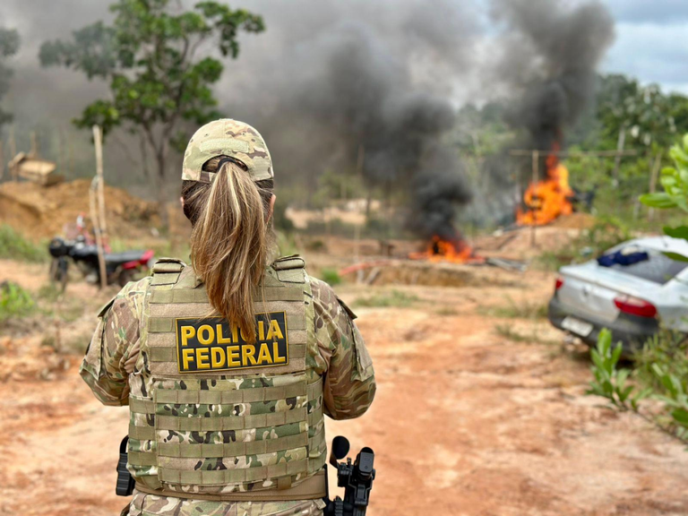 PF deflagra operação contra ameaças a policial rodoviário em Rondônia após apreensão de madeira ilegal