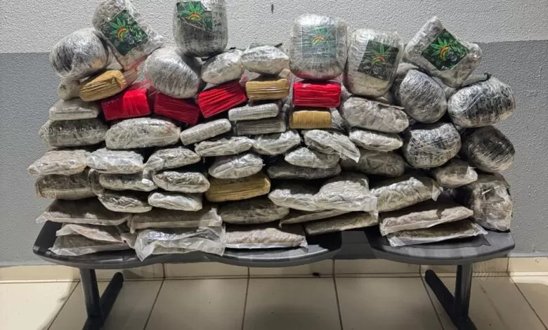 Apreensão de drogas na BR-364: PM intercepta quase 60 quilos de entorpecentes durante fuga de motociclista