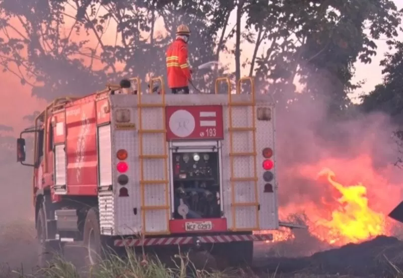 Incêndio Criminoso provoca Intensa Nuvem de Fumaça e Devasta Mais de 2 Hectares no Bairro Paineiras em Cacoal