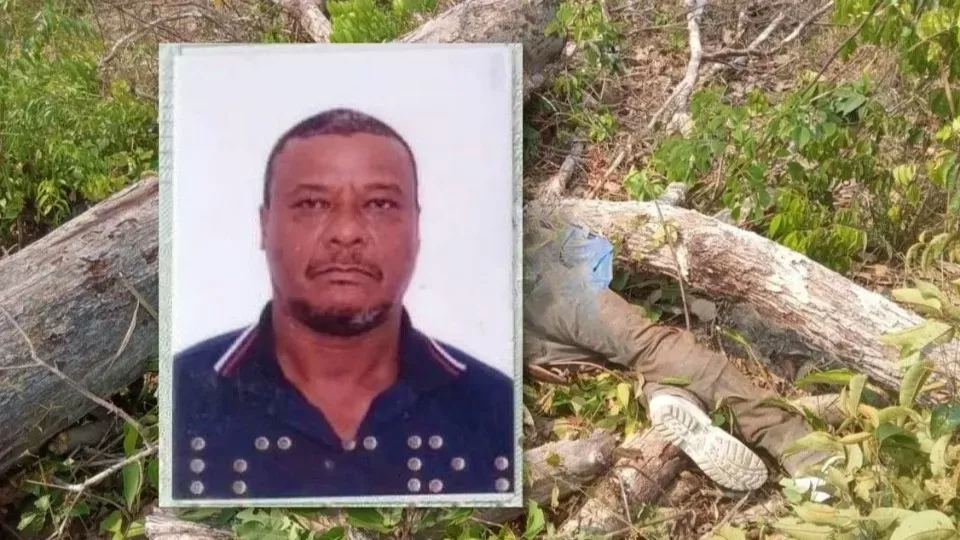 Homem Morre ao Ser Atingido por Árvore em Candeias do Jamari