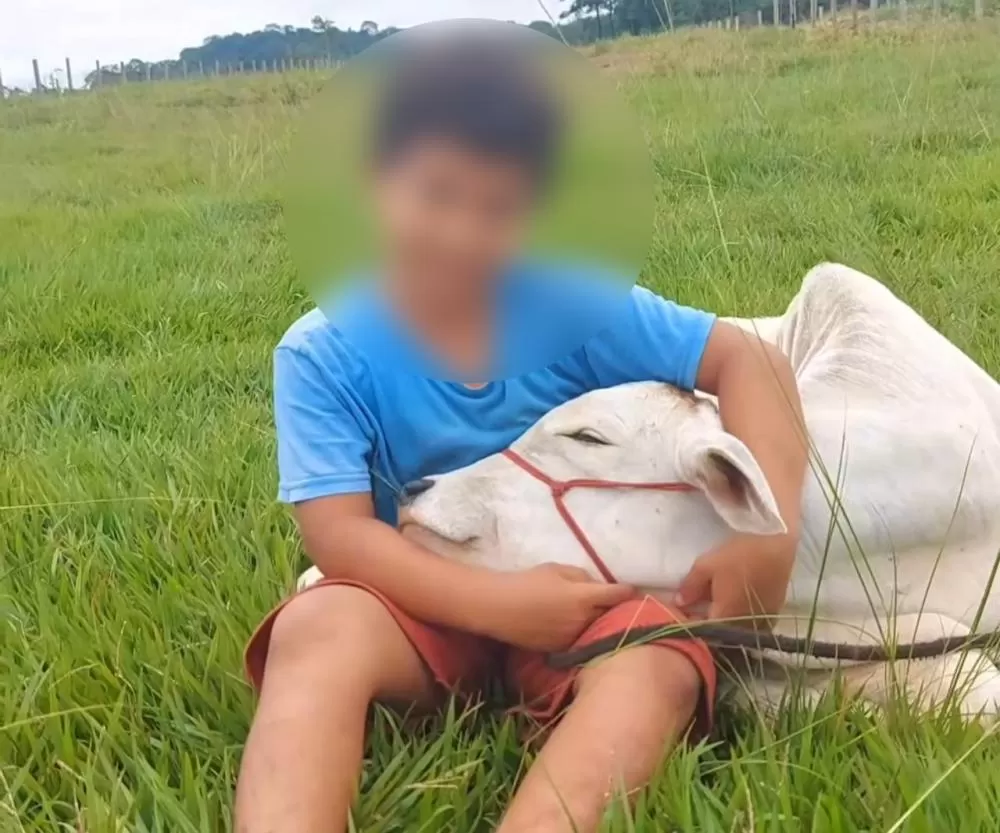 Tragédia em Rondônia: Criança de 4 Anos Morre Após Levar Coice de Bezerro em Propriedade Rural