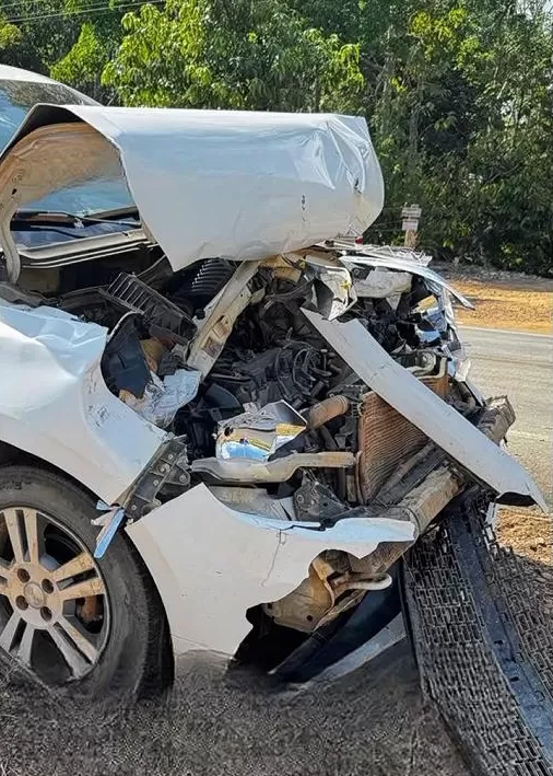 Macaco na Pista provoca acidente grave na RO-464: criança de 3 anos fica ferida após frenagem para não atropelar Macaco