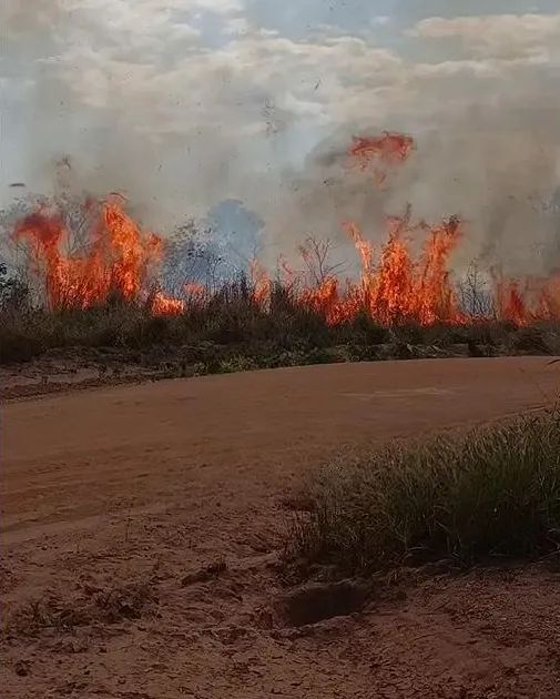 Fogo Devastador Atinge Terreno Vazio no Bairro Village do Sol em Cacoal e Gera Pânico na População