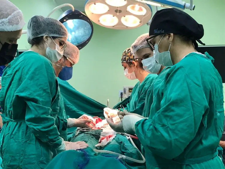 Foto: Sara Caslow Lara Lívia