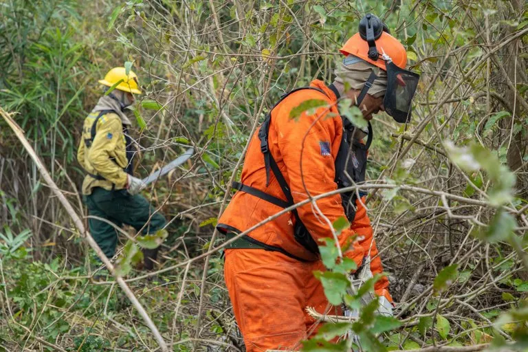 Queimadas Despencam em Rondônia: Agosto de 2025 Tem Menor Número em 8 Anos com Queda Histórica de 85%