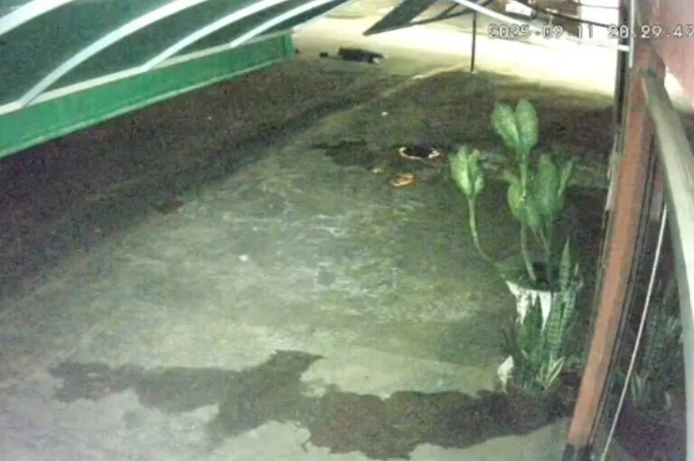 Cacoal: Inquérito é Concluído em Caso de Ex-Companheiro que Ignorou Medida Protetiva e Tentou Matar Mulher a Tiros