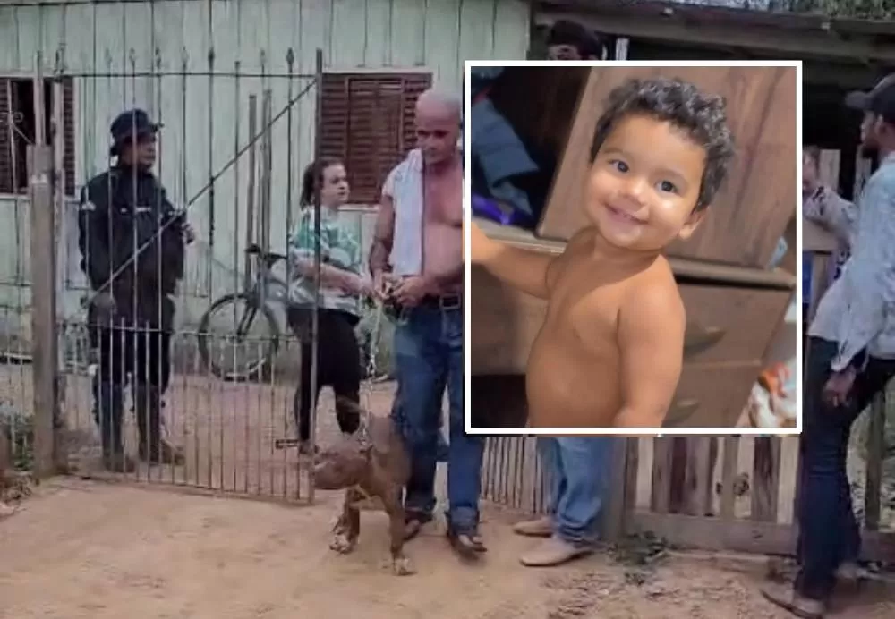 Bebê de 1 ano e meio morre após ataque de pitbull em Presidente Médici