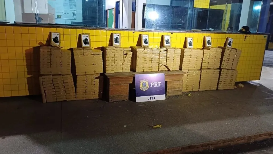 Vídeo: Caminhoneiro é Preso por Transportar Quase Meia Tonelada de Maconha na BR-364