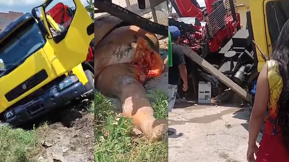 Vídeo: Mulher Perde a Vida ao Ser Esmagada por Caminhão na Zona Leste 