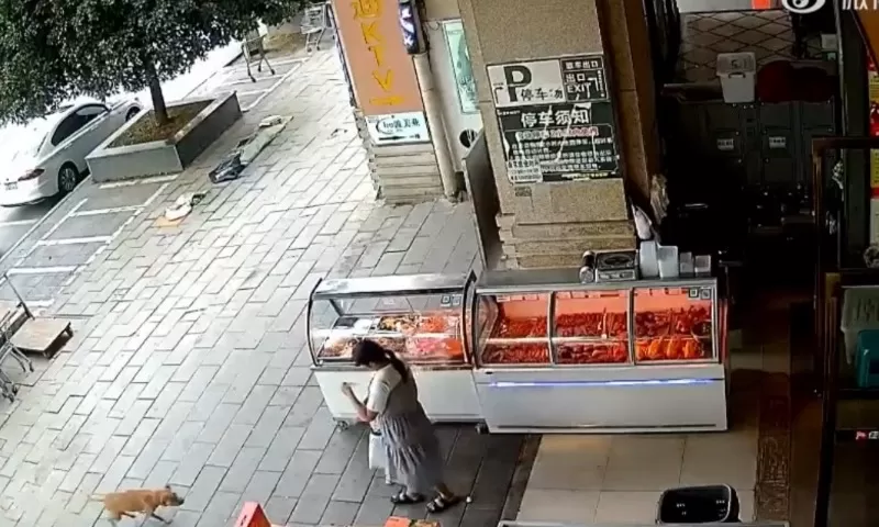 Vídeo: Cachorro Ataca Criança de 2 Anos na China Após Choro Incomodar o Animal