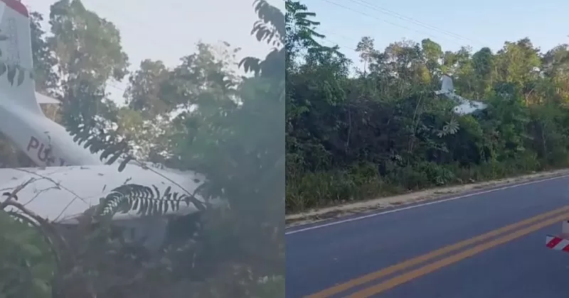 Avião de pequeno porte cai no km 94 da BR-174 e atinge rede de fiação elétrica 