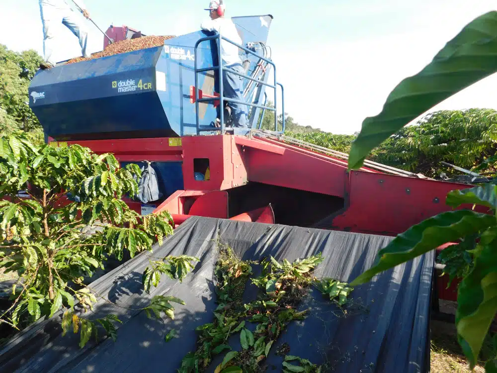 Investimentos no polo Agroindustrial de Cacoal impulsionam a produção agrícola e o crescimento econômico 