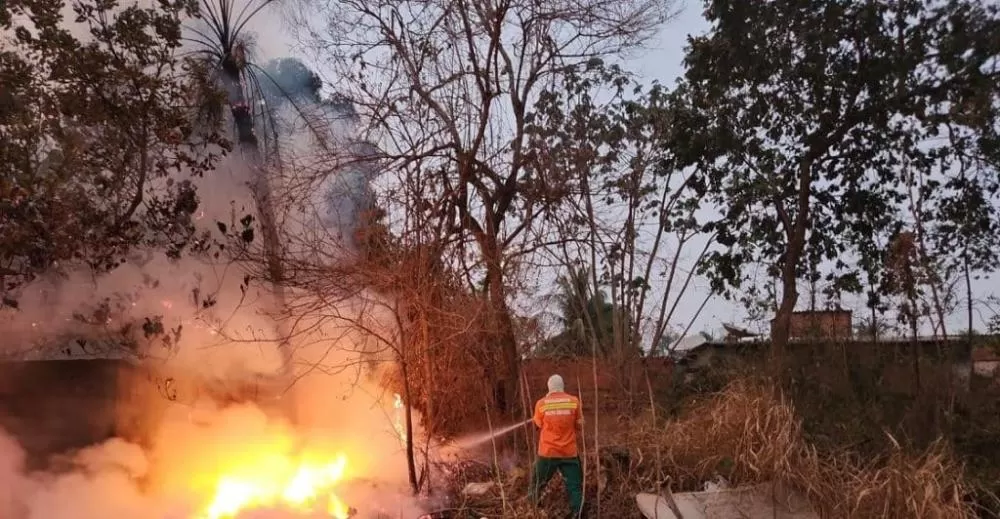 Incêndio de Grandes Proporções Devasta Bosque do Bairro Fortaleza em Cacoal