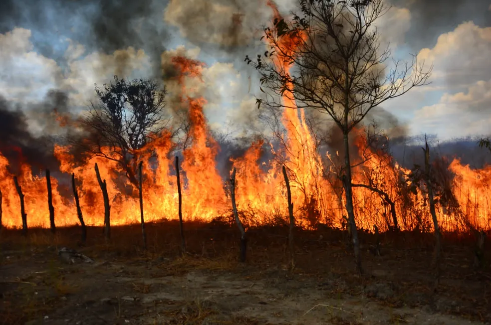 Governo Federal Declara Situação de Emergência em 26 Municípios de Rondônia Devido a Incêndios Florestais