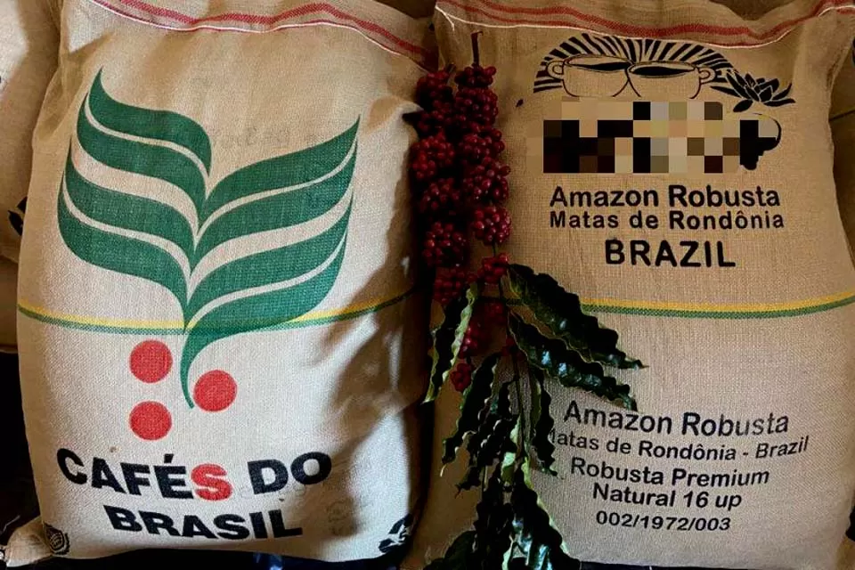 Feira Tecnológica de Cafés de Rondônia Reúne Produtores e Especialistas em Cacoal
