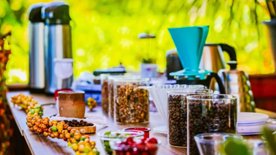 Feira Robustas Amazônicos em Cacoal: Evento Promove Café de Qualidade e Sustentabilidade