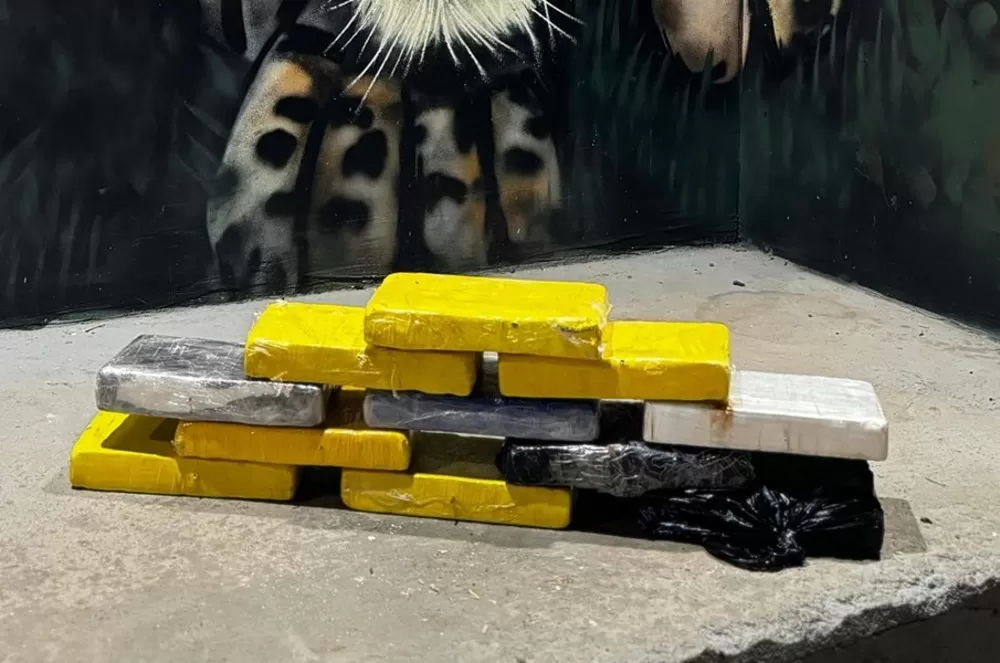 Taxista é Detido por Traficar 12 Quilos de Cocaína da Bolívia em Rondônia