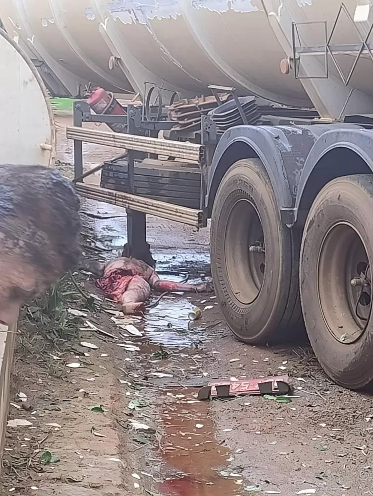 Vídeo: Sobrevivente de Explosão de Tanque de Caminhão Está em Estado Crítico