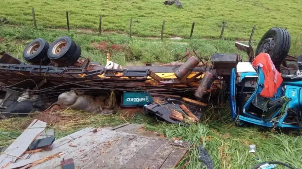 Urgente! Caminhão Boiadeiro com 70 Animais Tomba na BR-364 nas proximidades do posto da PRF