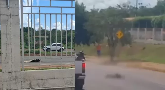 Vídeo: Homem comete suicídio e acaba partido em dois ao se jogar em carreta!