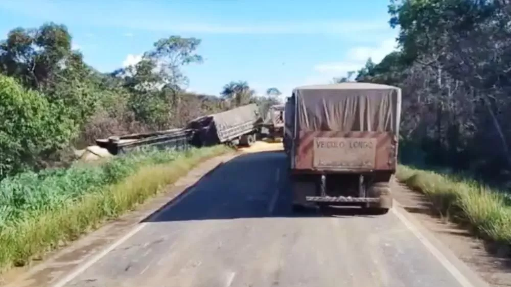 Acidente Entre Caminhões de Bois e Soja na BR-364 Deixa Animais Mortos e Trânsito Congestionado