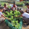 Projeto de horta em escolas promove desenvolvimento de alunos e segurança alimentar em RO