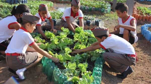 Projeto de horta em escolas promove desenvolvimento de alunos e segurança alimentar em RO