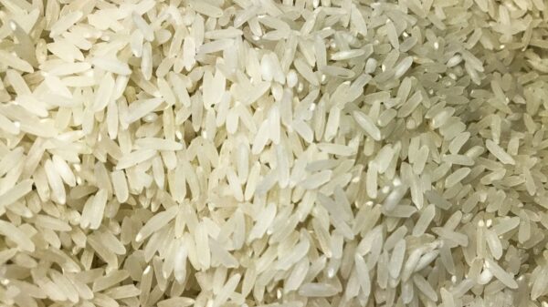camex-zera-tarifa-de-importacao-para-garantir-abastecimento-de-arroz